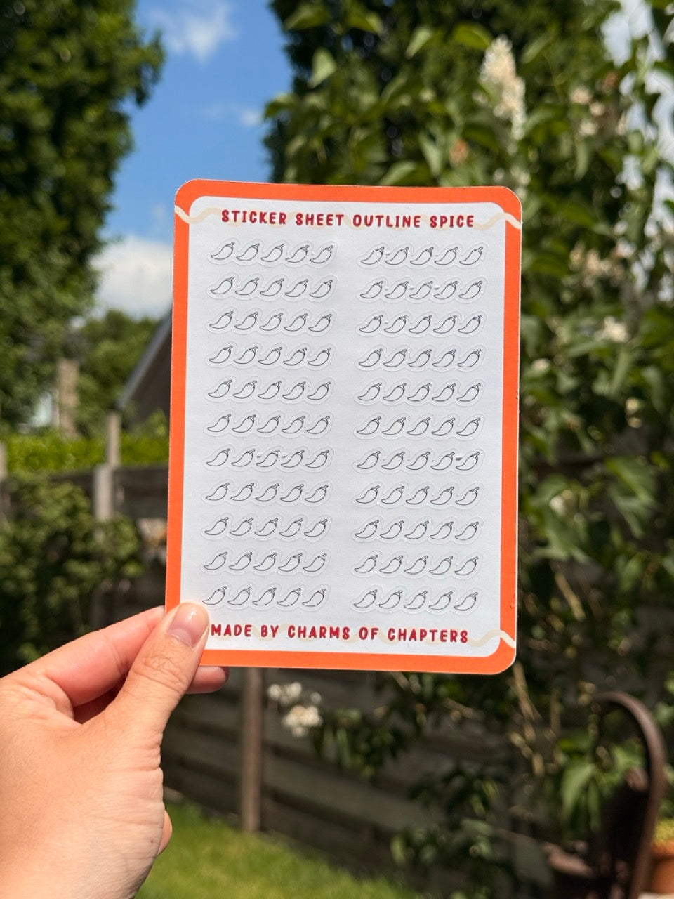 Sticker Sheet Outline Spice